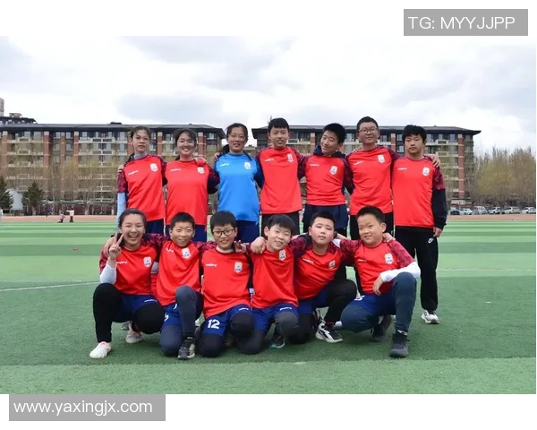 六年级学生选择足球球星推荐与购买指南：如何挑选适合的球员与装备